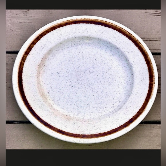 Mid Century Vtg Discontinued Homer Laughlin Speckled Stoneware Plate - Picture 7 of 8